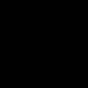 Meet your Posher, Autumn